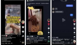 首页黑社爆料视频网站,揭秘网络视频平台的幕后真相