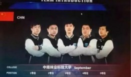 新闻大爆料的效果,揭秘幕后真相，震撼来袭！